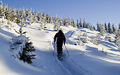 Schneeschuhwandern in Bayern